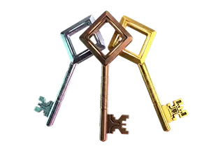access VIP Image