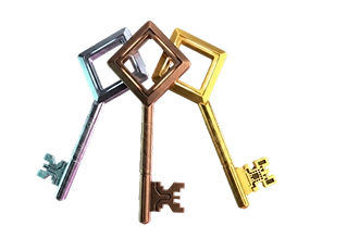 access VIP Image