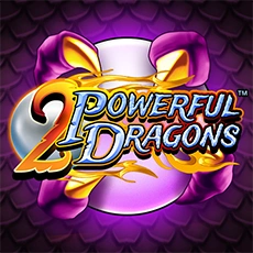 Two Powerful Dragons
