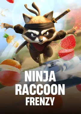 Ninja Raccoon Frenzy