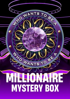 Millionaire Mystery Box
