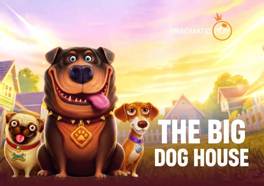 The Big Dog House