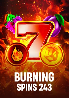 Burning Spins 243